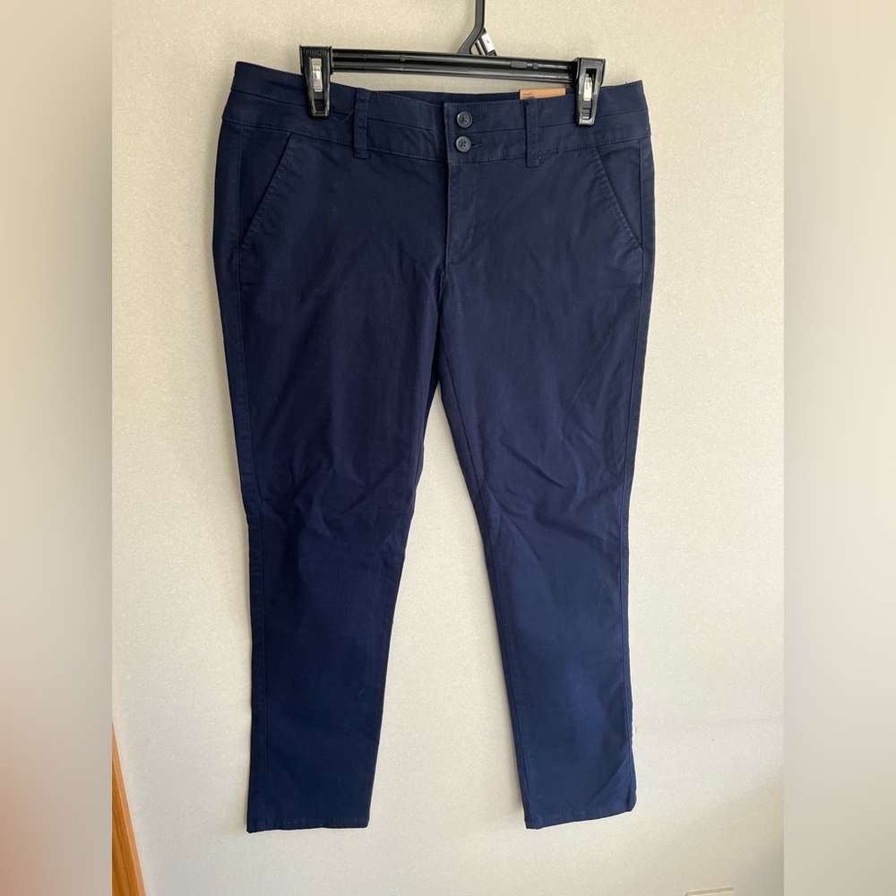 Navy AE dress pant